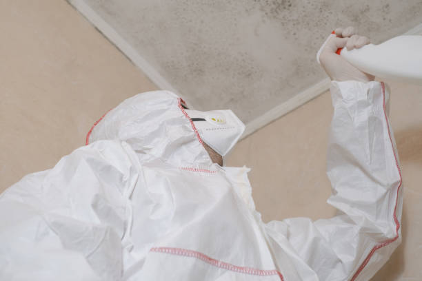Professional Mold Remediation in Sharon, MS